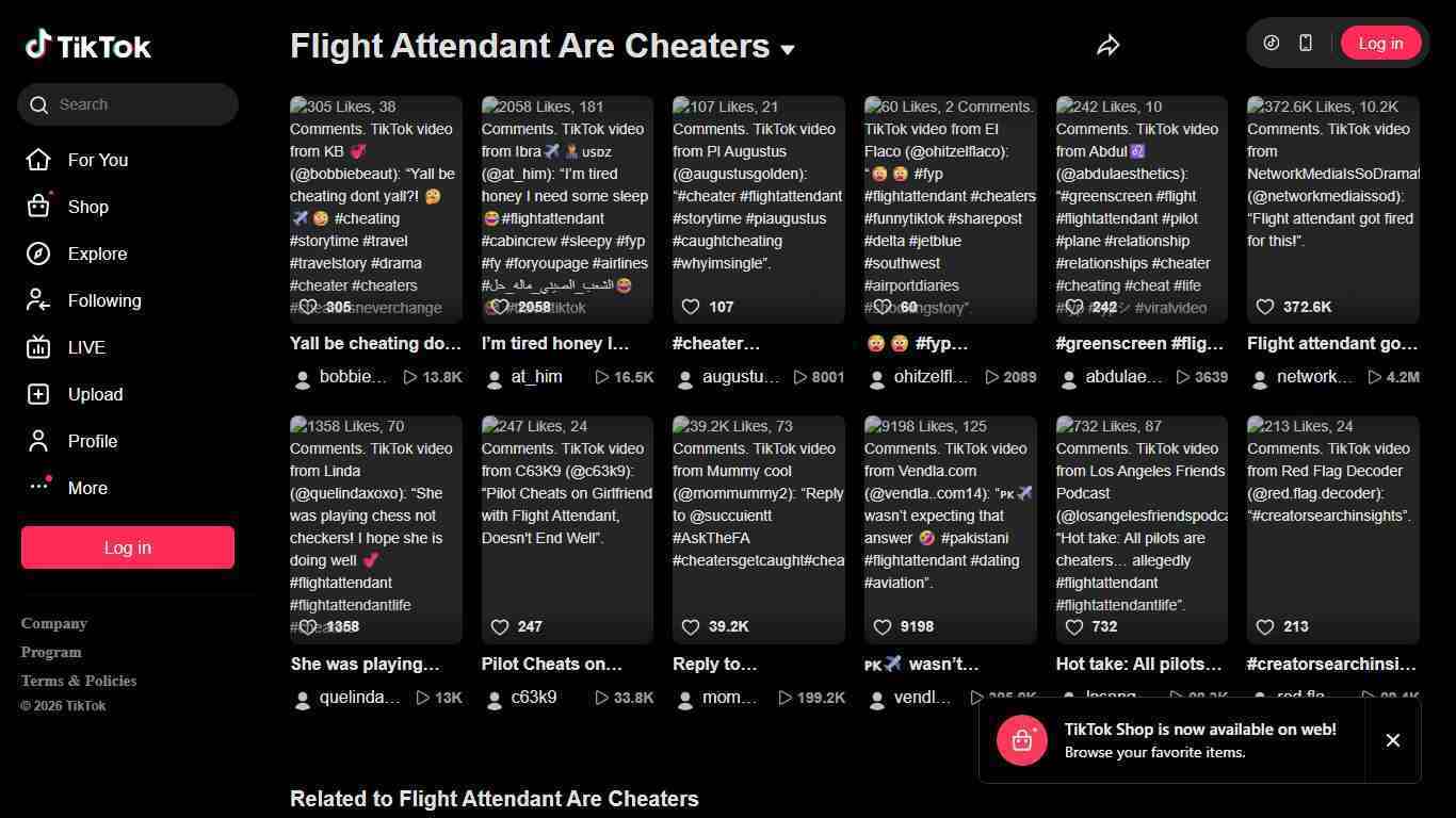 Flight Attendant Are Cheaters | TikTok